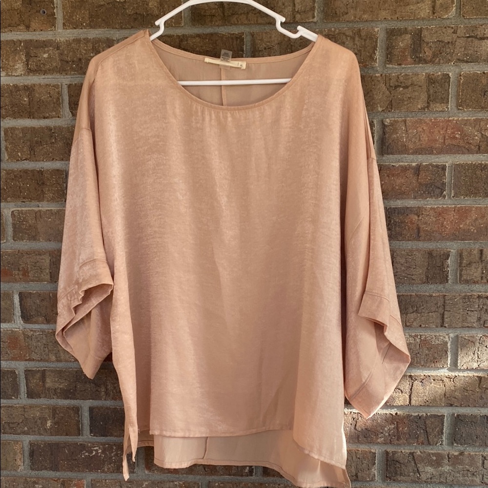Chic Women's Light Blush with shimmer Blouse
